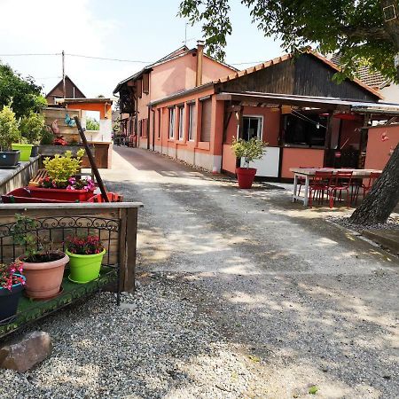 Gites & Camping On The Route Des Vins Bergheim Eksteriør billede
