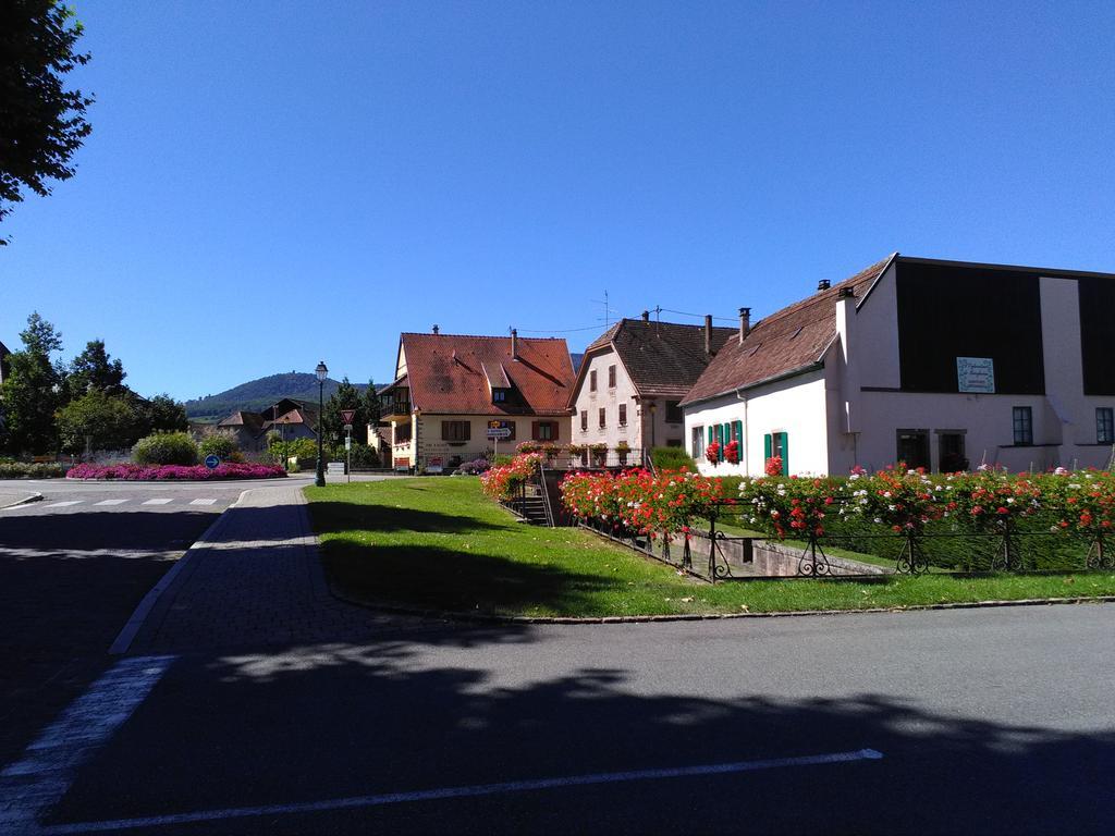Gites & Camping On The Route Des Vins Bergheim Eksteriør billede