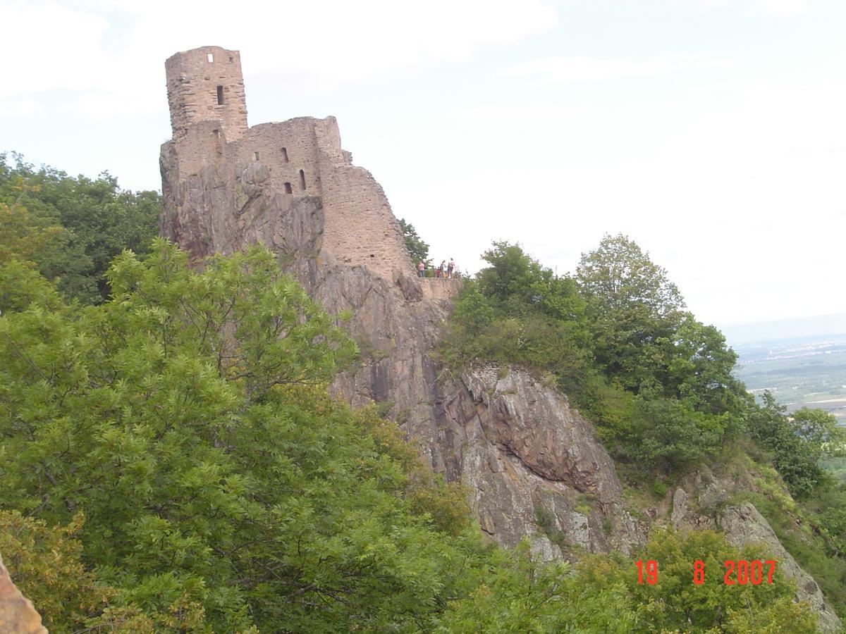 Gites & Camping On The Route Des Vins Bergheim Eksteriør billede